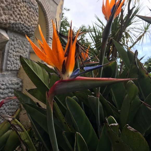 Meet your Posher, Sarah - Picture 2 of 4